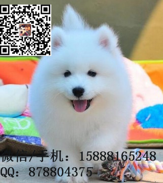 small_201706251656496639.jpg