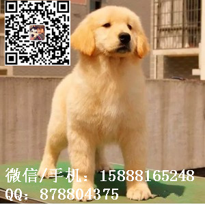 small_201610212132514334.jpg