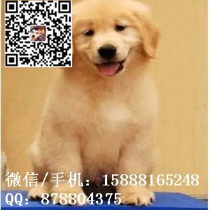 small_201608052105466976.jpg
