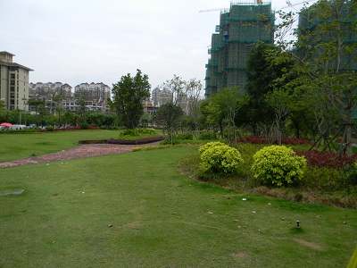 DSCN4924.JPG