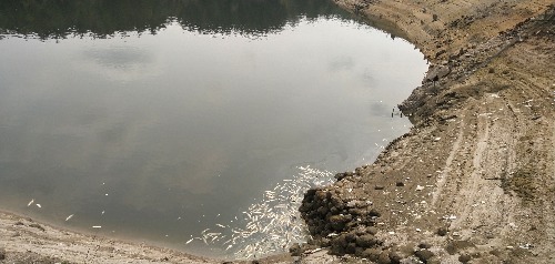 IMG_20190327_124219.jpg